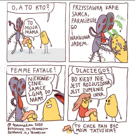 Femme fekale