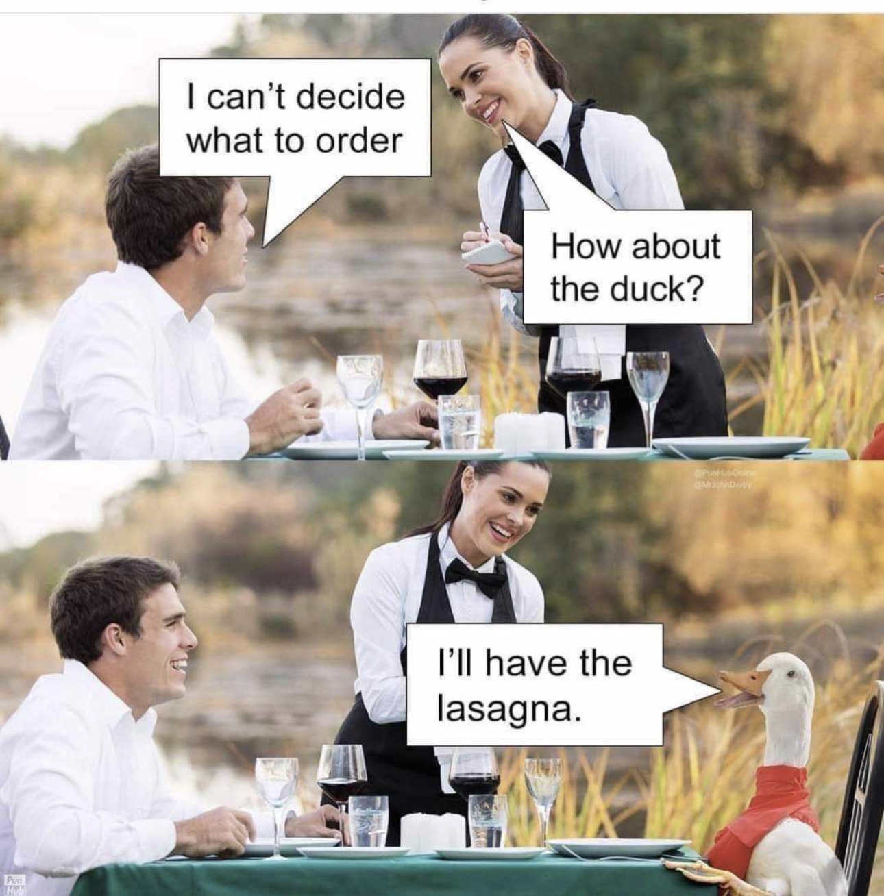Duck